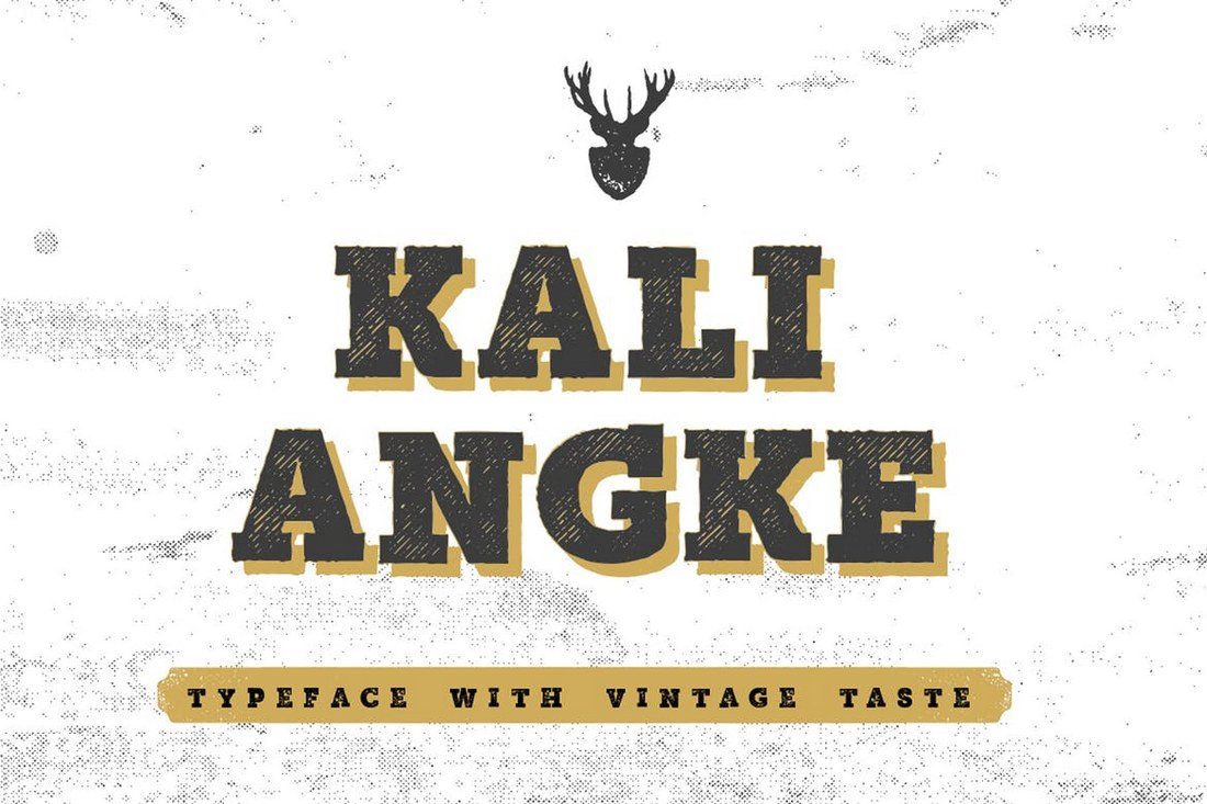 dpexpress-thiet-ke -Mutiara-Vintage