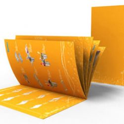 Đặc Điểm Của Các Loại Giấy Catalogue Trên Thị Trường Hiện Nay