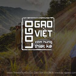 Cảm hứng thiết kế logo gạo