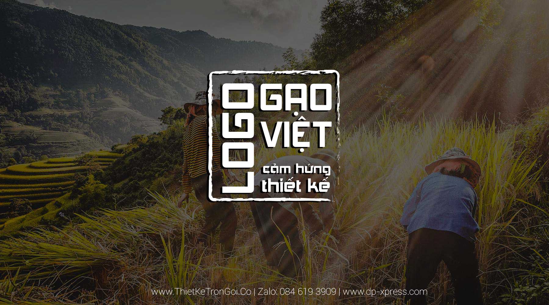 Cảm hứng thiết kế logo gạo