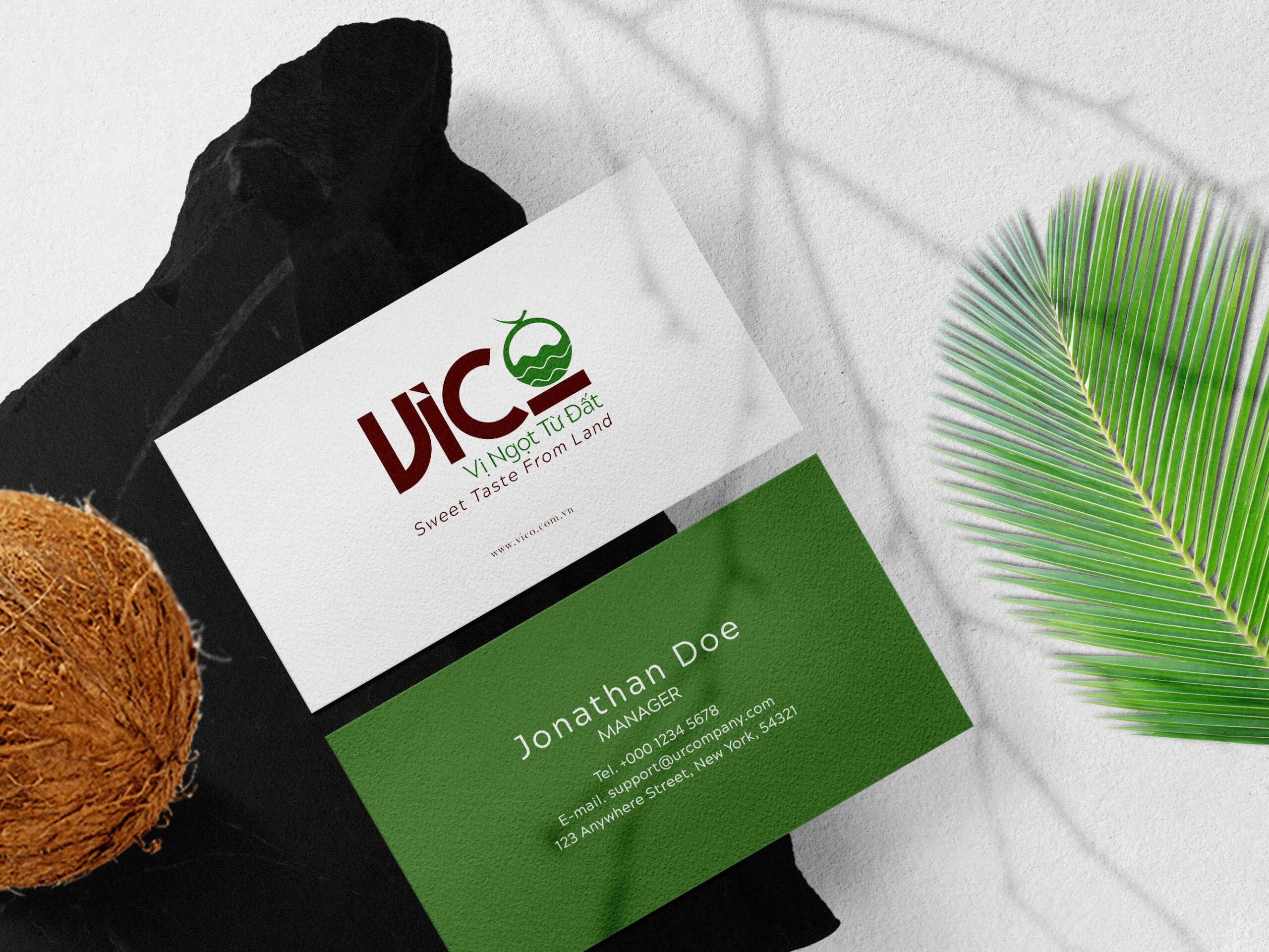 Hình minh họa thiết kế danh thiếp thương hiệu nông sản - dừa