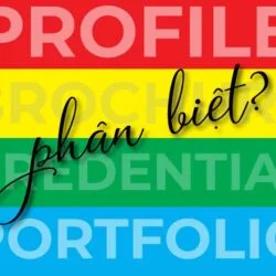 Vì Sao Bạn Cần Phân Biệt Thiết Kế Profile Với Brochure, Credential, Portfolio