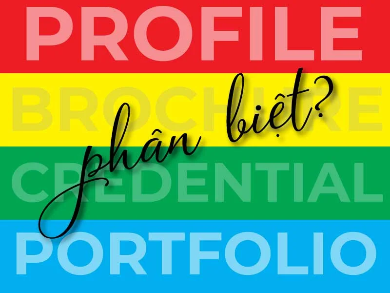 Vì Sao Bạn Cần Phân Biệt Thiết Kế Profile Với Brochure, Credential, Portfolio